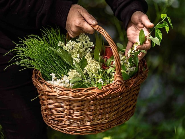 A sustainable cuisine
